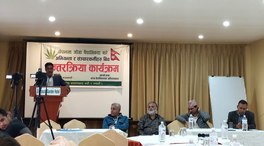 गाँजा खुला गर्न लागिपरेकाहरु भन्छन्– अबेर भैैसक्यो