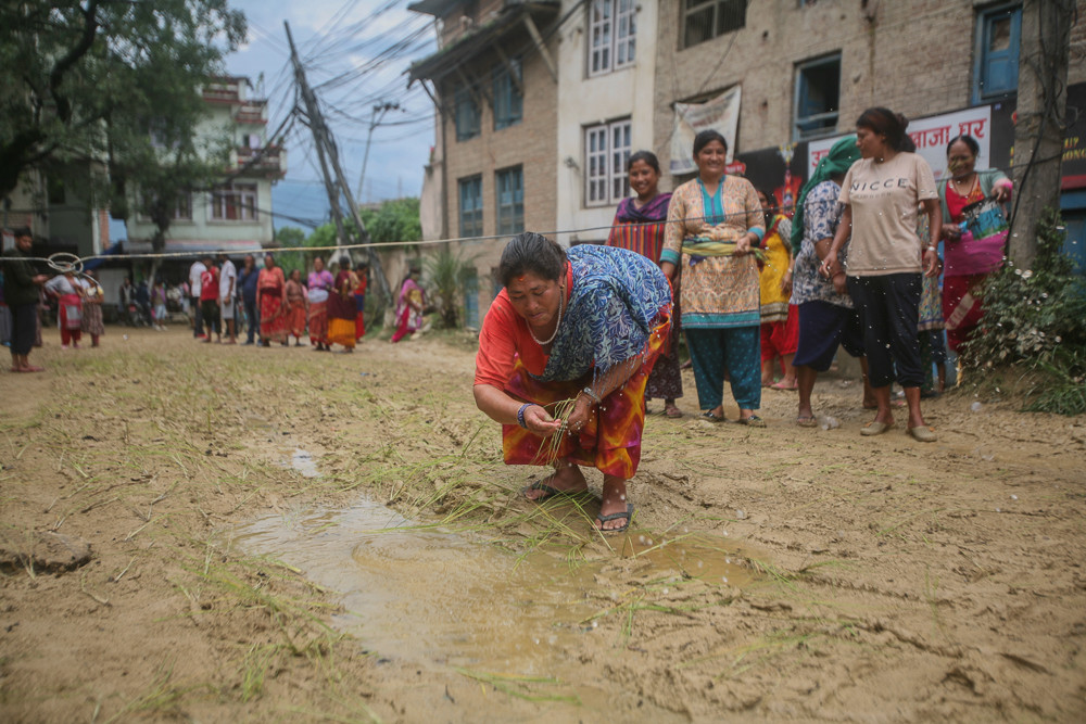 ठेकेदारको लापरबाहीविरुद्ध सडकमै रोपाइँ (फोटो फिचर)