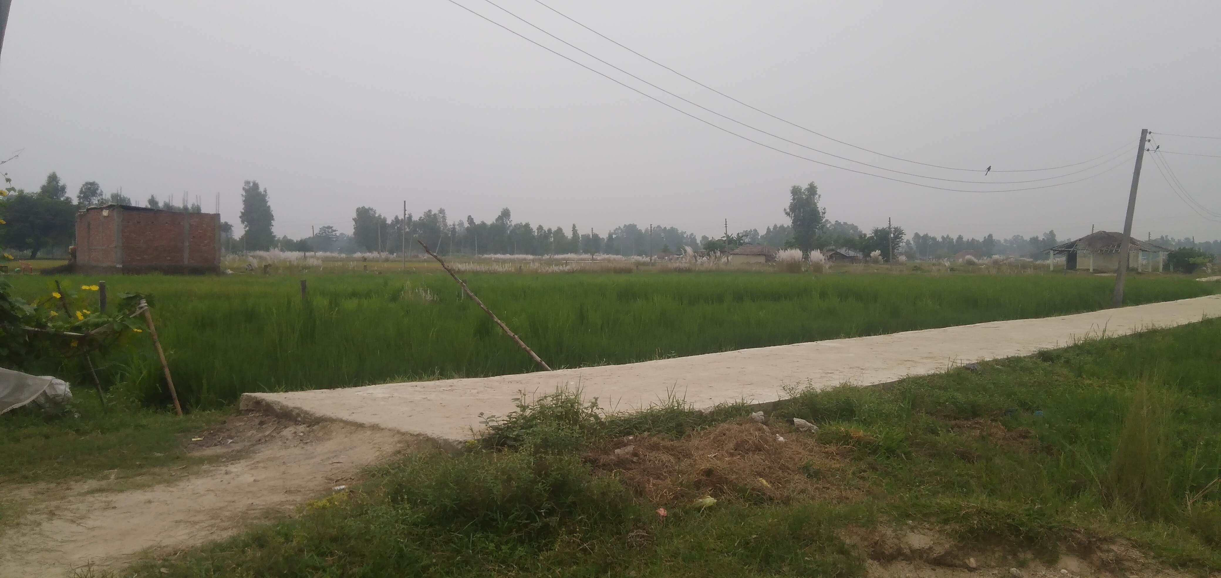सांसद विकास कोषको रकम दुरुपयोग : जग्गाको मूल्यांकन बढाउन खेतमै पीसीसी ढलान