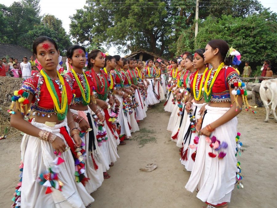 थारु कला संस्कृति संरक्षणमा नयाँ पुस्ताको आकर्षण बढ्दै