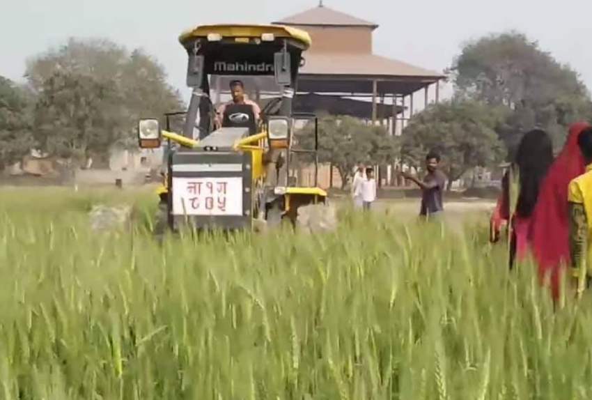 मेला लगाउन किसानको बालीमा डोजर चलाइयो