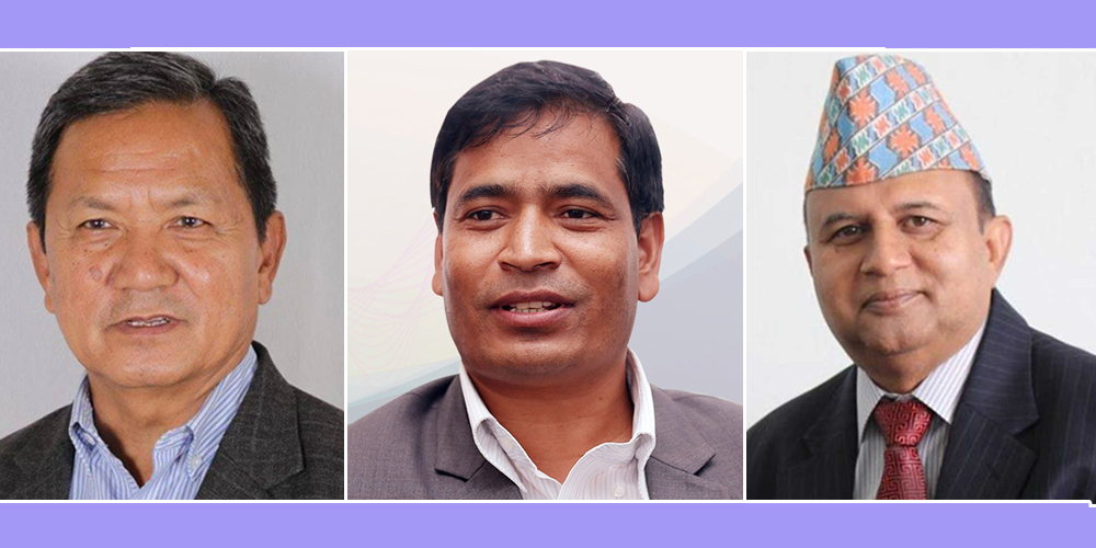 प्रदेशको विकृतिले दलीय राजनीति र लोकतन्त्रकै बदनाम