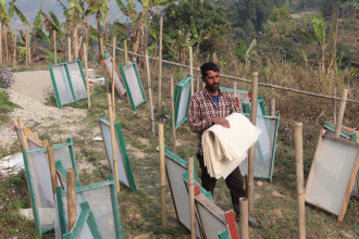 इन्टनेट हेरेरै केराको खम्बाबाट कागज उत्पादन, बेरोजगार युवालाई प्रेरणा