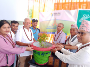 कामना सेवा विकास बैंकले प्रशान्ति टोल विकास संस्थालाई दियो गमला