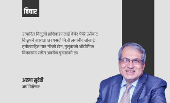अर्थतन्त्र भाइब्रेन्ट बनाउने नयाँ औजार–पीपीए