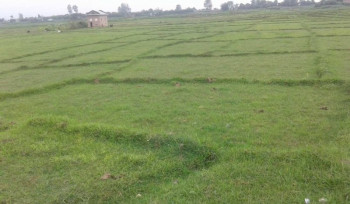 बढ्यो घरजग्गा कारोबार