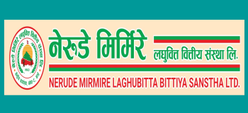 नेरुडे मिर्मिरे लघुवित्तले बोलायो साधारणसभा, सेयरधनीलाई छैन लाभांश 
