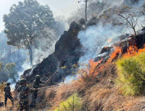 पाल्पाको सामुदायिक वनमा लागेको आगो निभाउन कठिन