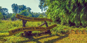 निकुञ्जबाट विस्थापितका पीडाः मोबाइल र टर्च चार्ज गरेकै १० रुपैयाँ!