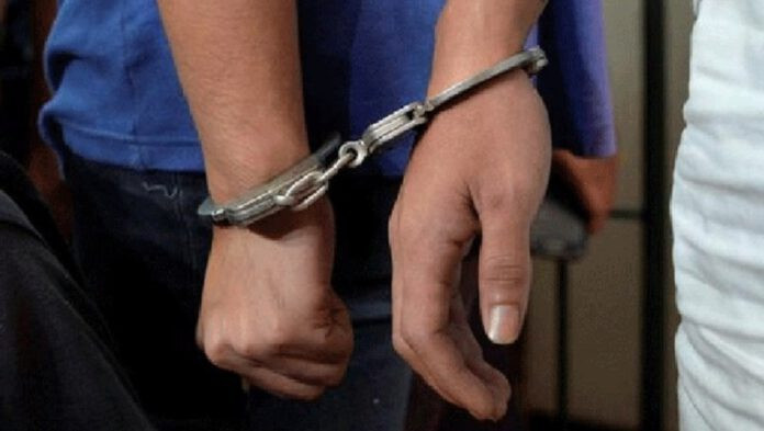 रुख कटान गरेको आरोपमा दुई जना पक्राउ