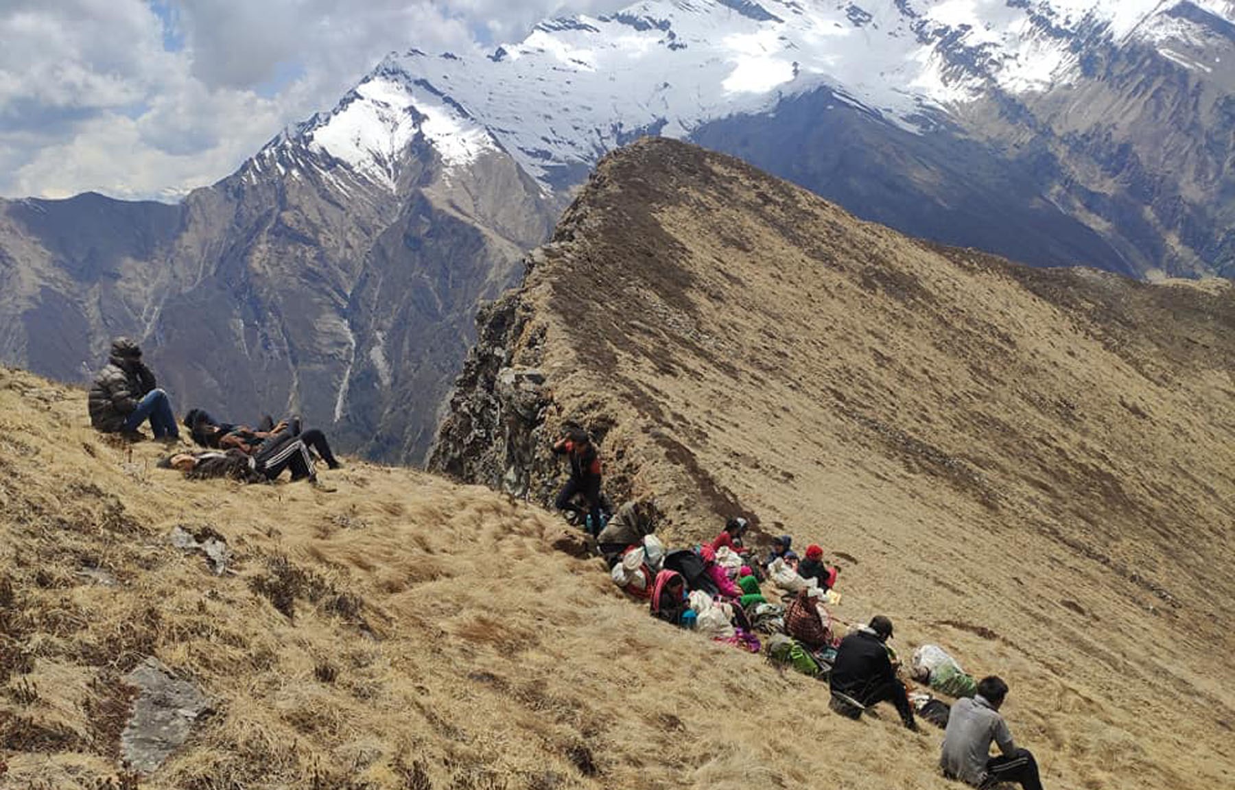 यार्सागुम्वा खोज्ने चटारो [३ तस्बिर]