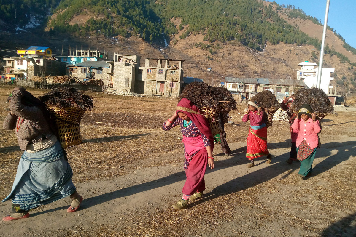 हिउँ परेपछिको हर्ष
