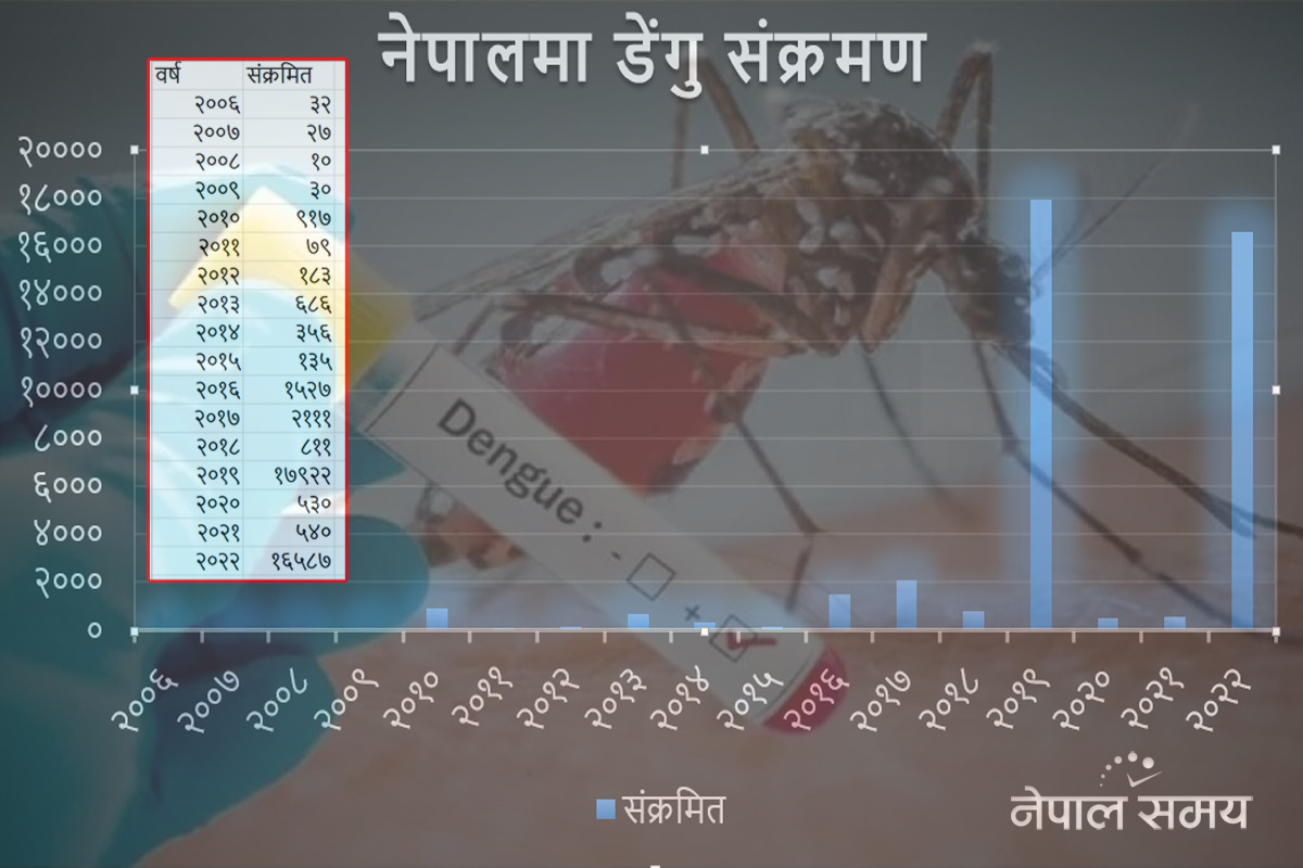 महामारी बन्यो डेंगु, १९ दिनमा २० जनाको मृत्यु