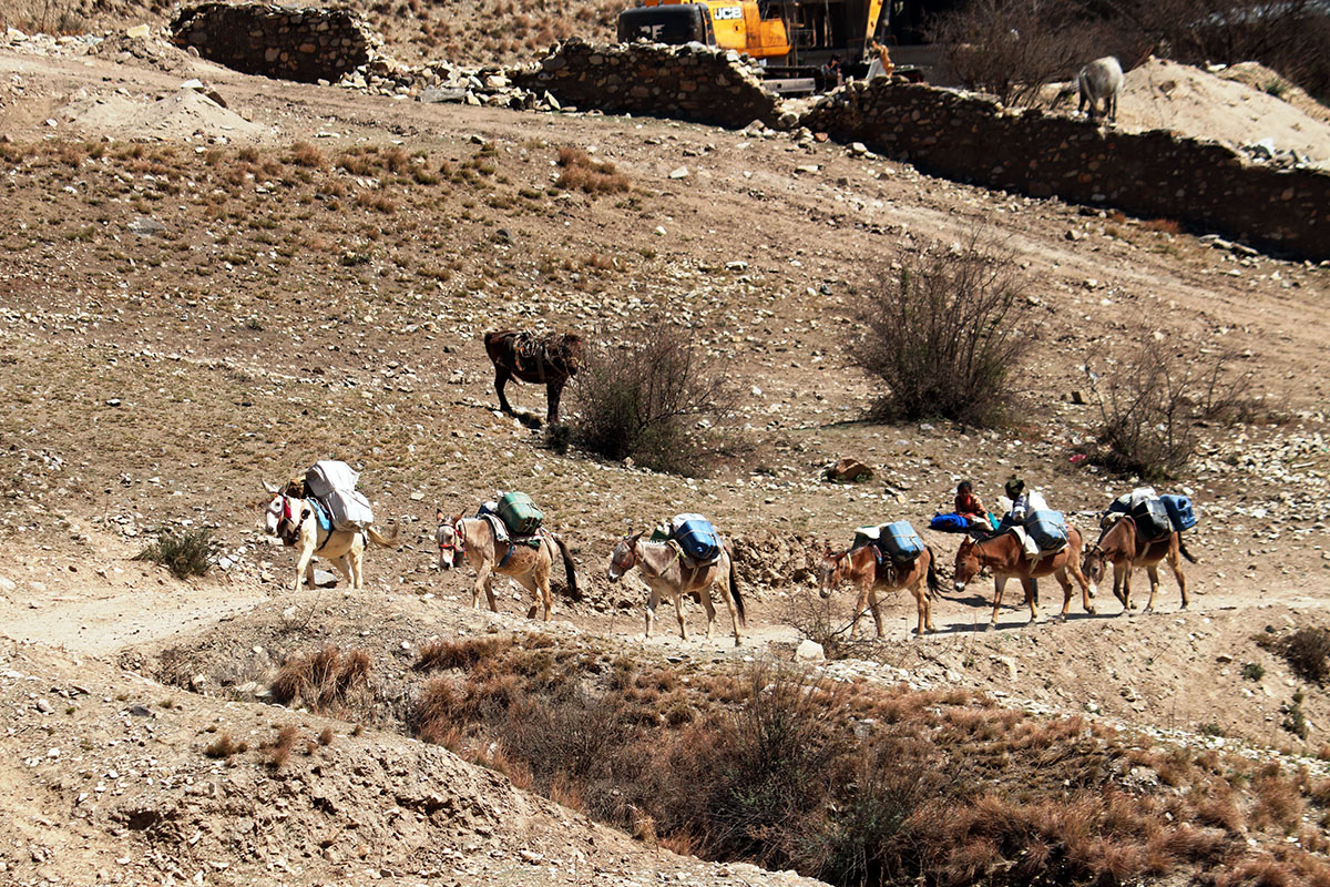 खच्चडमा इन्धन ढुवानी