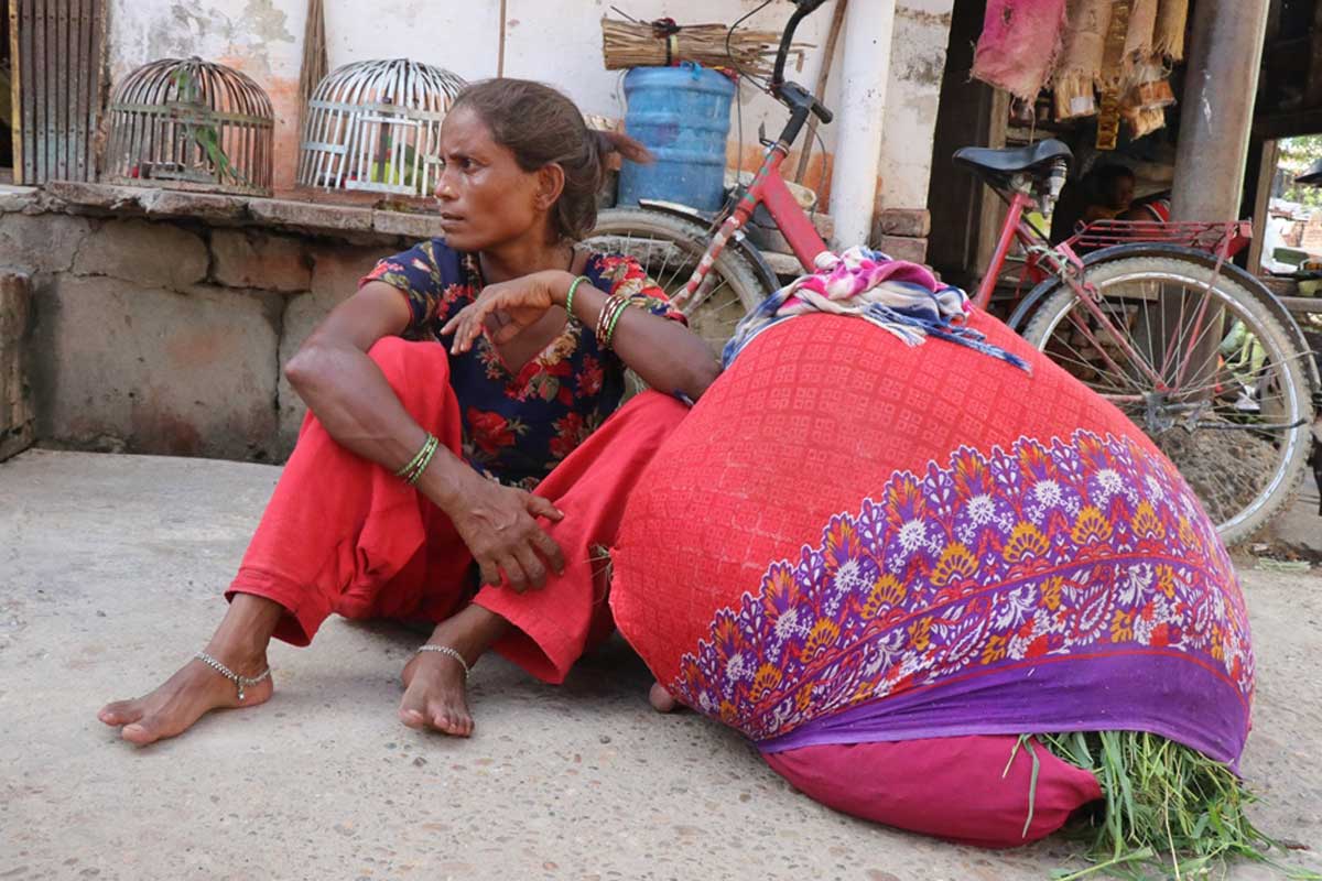 घाँस बिक्री हुन छाडेपछि संकटमा घसियारन समुदाय