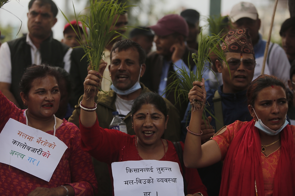 मल माग्दै धानको बिउसहित प्रदर्शन [तस्बिरहरू]