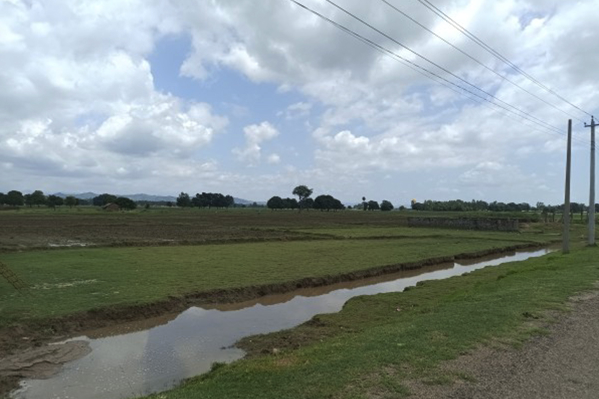 नरैनापुरको खडेरी: किसानलाई संकट, नेतालाई चुनावी मुद्दा