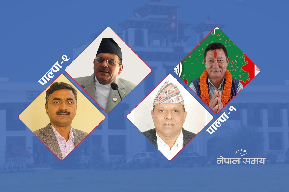 पाल्पामा यस्तो छ चुनावी जोडघटाउ