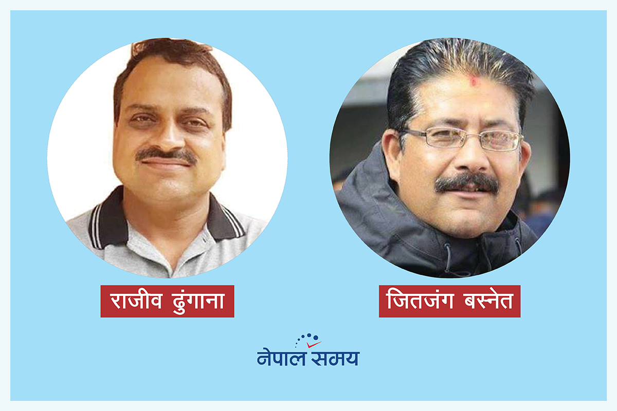 विधान मिच्दै, गतिविधि गर्दै